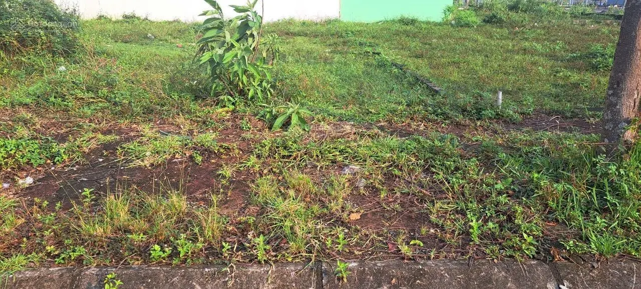 Cần bán đất đấu giá DG08 giá 81 triệu/m tại Quốc Oai, Hà Nội