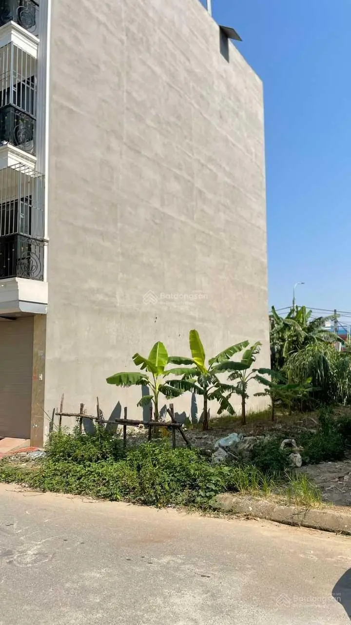Bán đất dịch vụ Trũng Trên Lai Xá, Kim Chung, Hoài Đức, 51m2, ô tô, vỉa hè, cạnh Bắc Từ Liêm