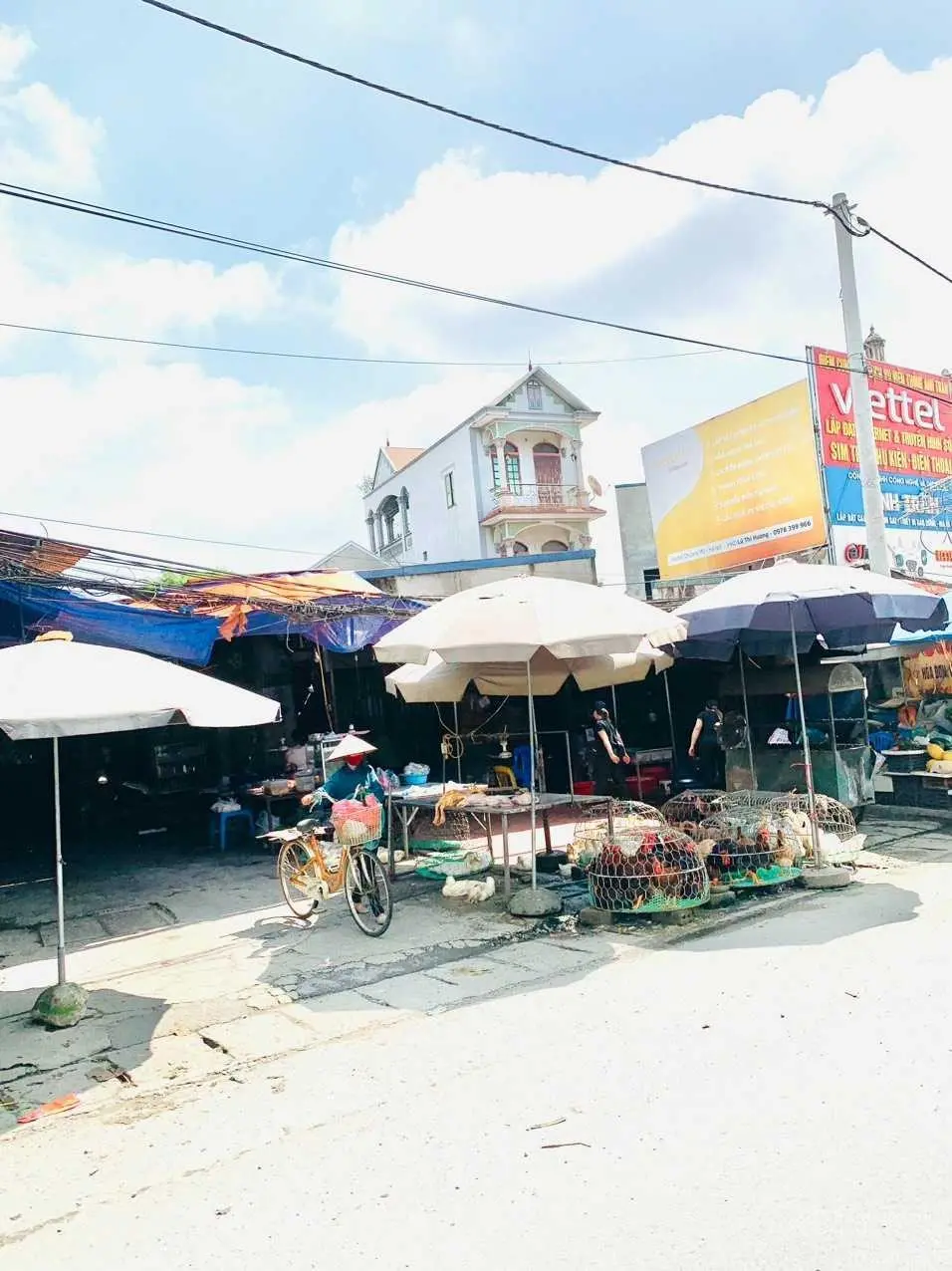 Bán đất Chương Mỹ trục chính liên thôn đã phân sẵn 5 lô sổ hồng mới tinh giá chỉ nhỉnh tỷ xíu
