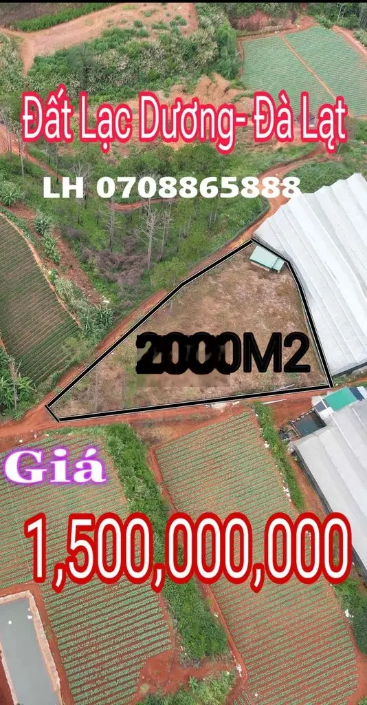 2000m2 Lạc Dương 1ty5