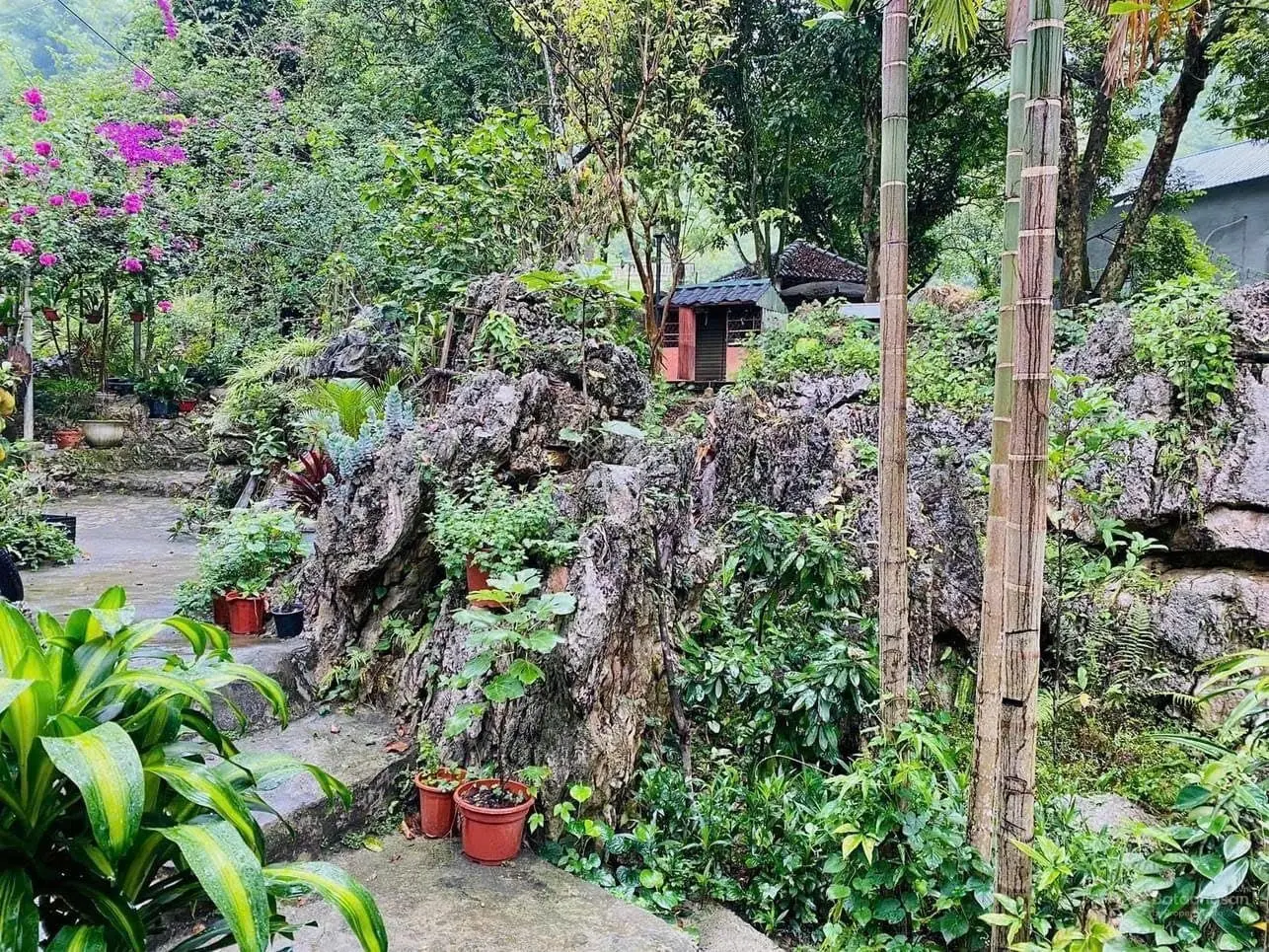 Cần bán lô đất có sẵn tiện nghi chỉ cách tt Hà nội 35km Phù hợp làm khu nghỉ dưỡng gia đình
