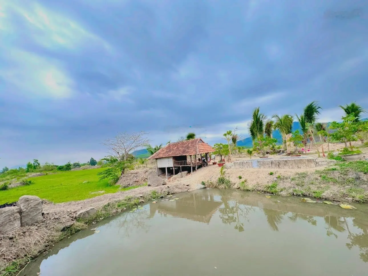 Chuyển nhượng nhanh Farm suối khoáng nóng tại Ninh Tây, Ninh Hòa. QH full thổ, giá bao sang tên