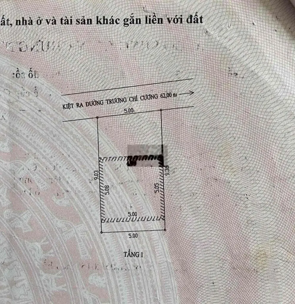 TRƯƠNG CHÍ CƯƠNG