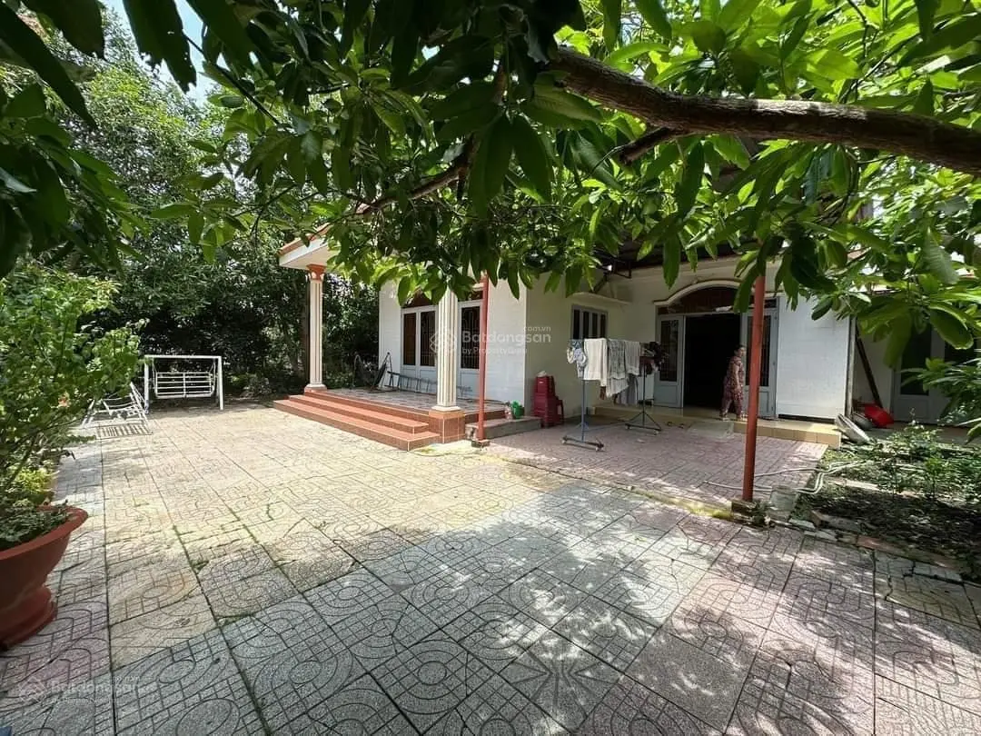 700m2 nhà vườn sân ô tô gần trường học Bình Nhâm CMT8, giá 5,5 tỷ