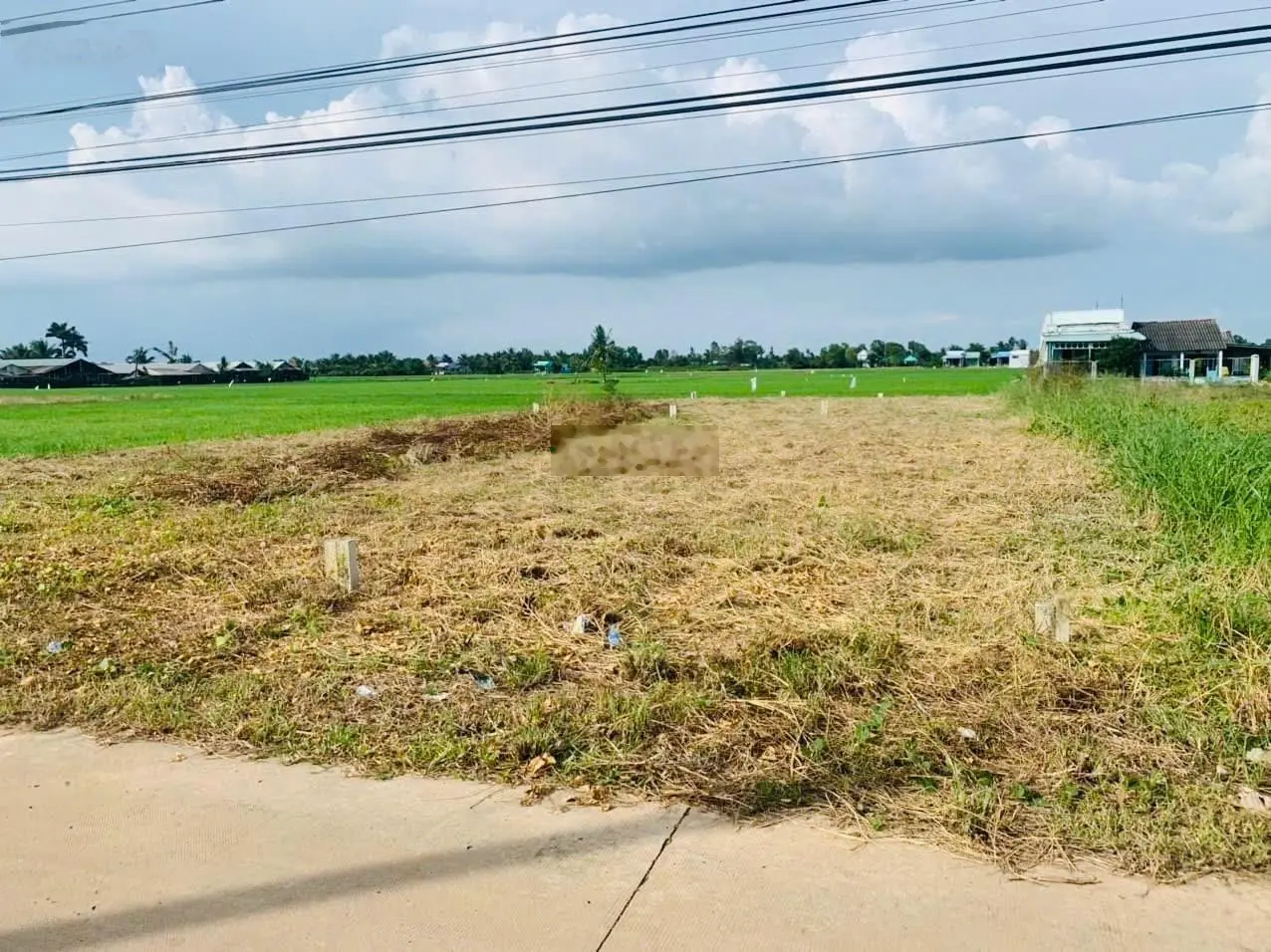 Bán 240m2 thổ cư quá rẻ, ngay MT Trần Văn Nghĩa, Cần Giuộc, giá ngợp
