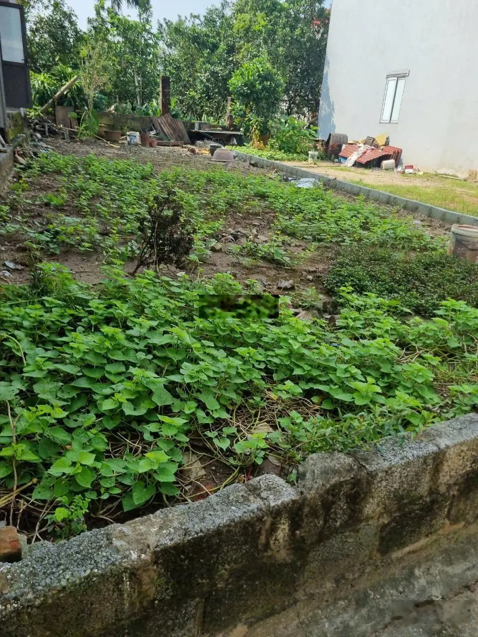 Cần bán gấp lô đất siêu đẹp tại Văn Giang, diện tích 111m2 giá siêu hợp lý, mời LH 0941195885