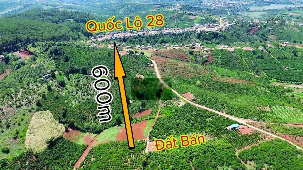 Đất sát bên Quốc Lộ - Cao Tốc Di Linh. Giá cực tốt, cách trung tâm 15p