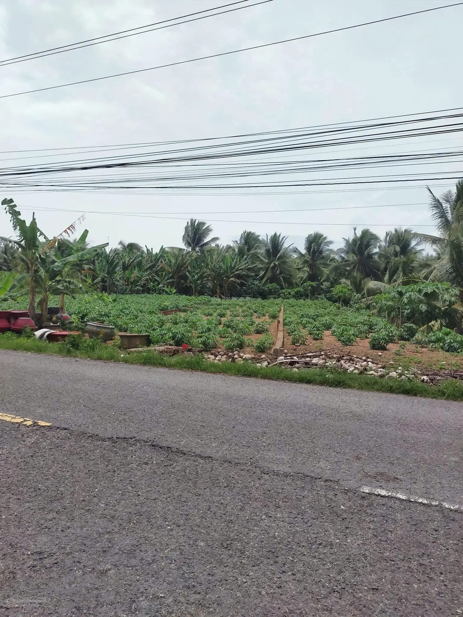 Cần tiền gấp ra đi 120m2 SHR thổ cư gần Coopmart Bến Tre. MT Nguyễn Văn Trung, Phú Hưng