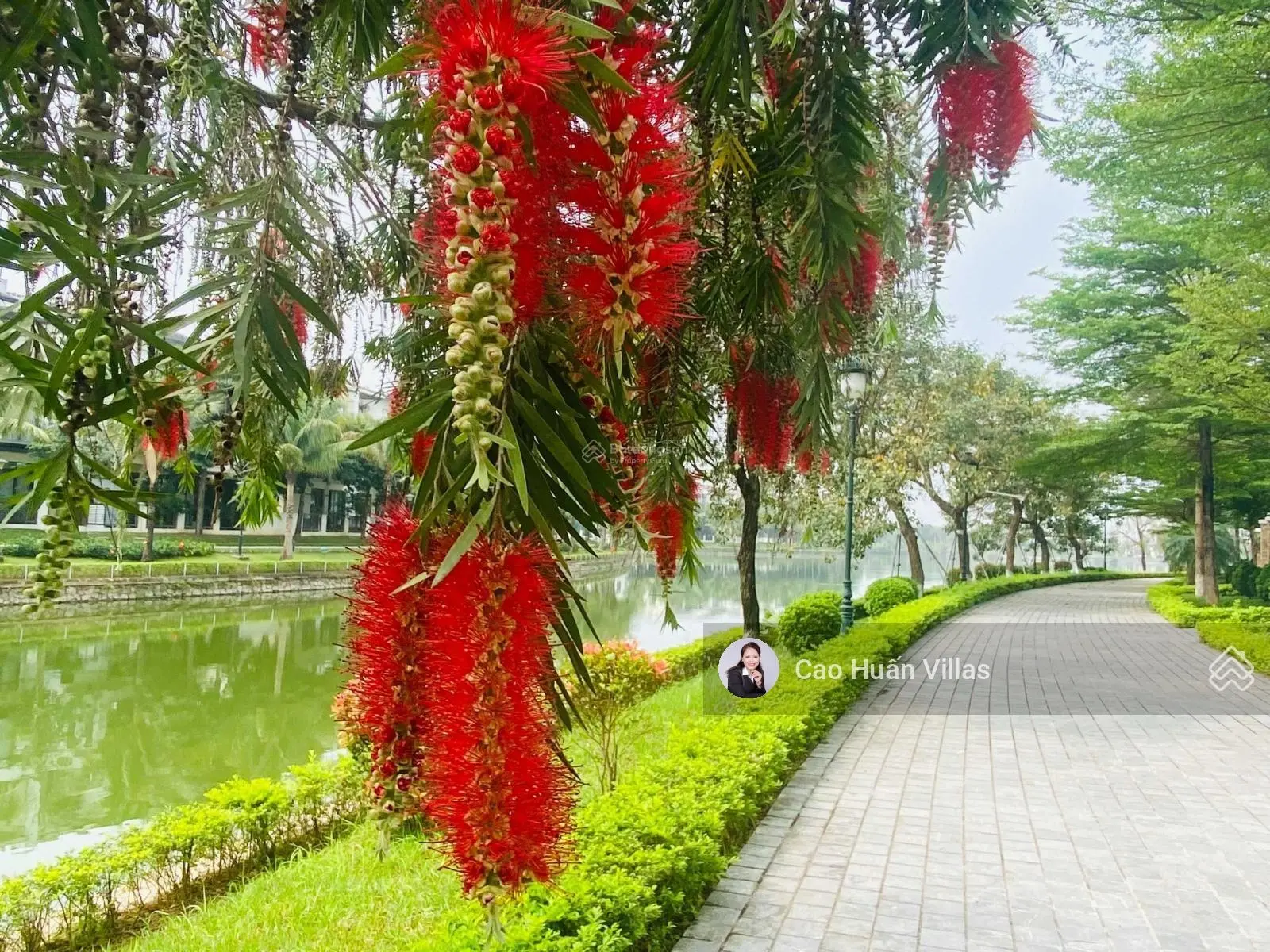 Bảng hàng VistaLago Sudico, khép kín, Savills, gần lối thông Vinhome SM City giá tốt nhất phía tây
