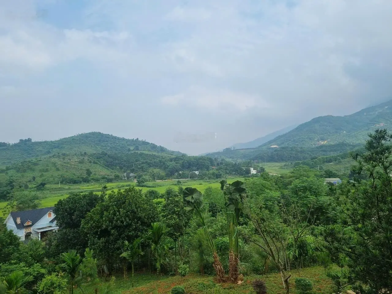 Chính chủ bán biệt thự 3700m2 xã Yên Trung, đường 2 oto tránh trục chính 446 giá 18tỷ 0916393862