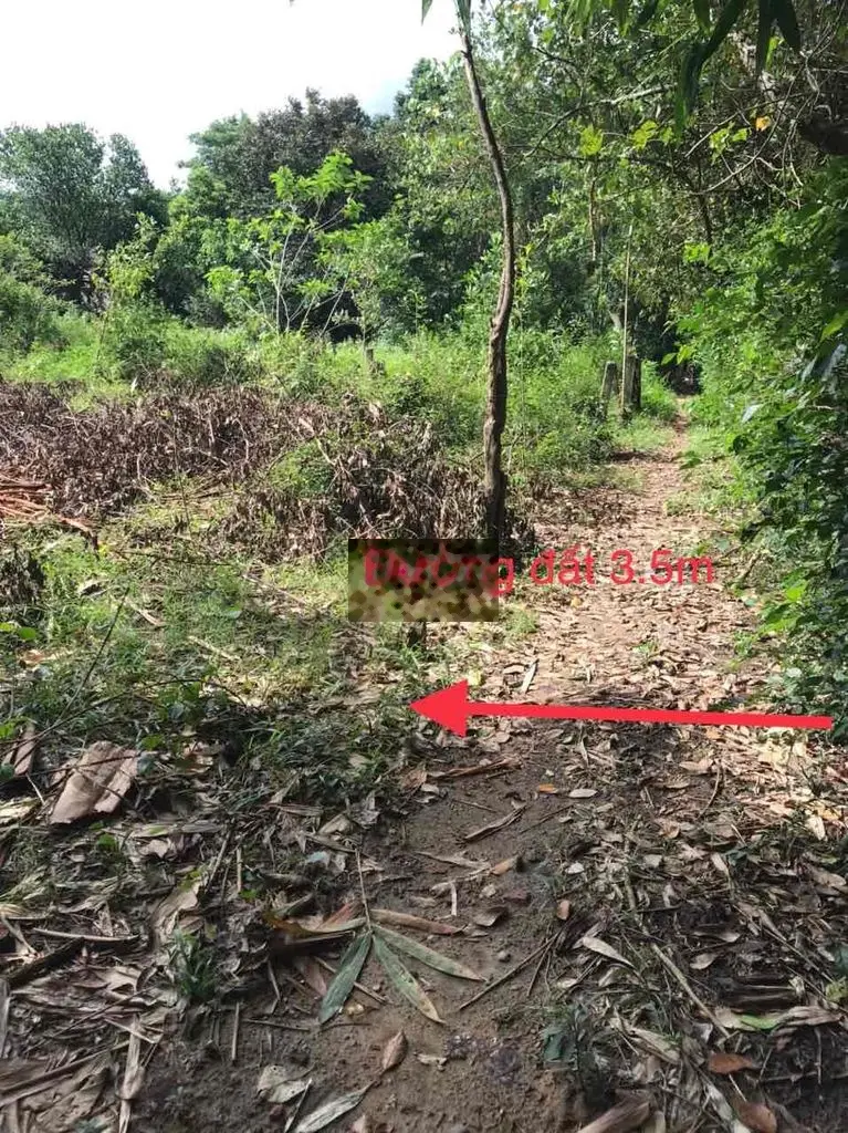 Bán đất Hoà Bắc làm nhà vườn nghĩ dưỡng