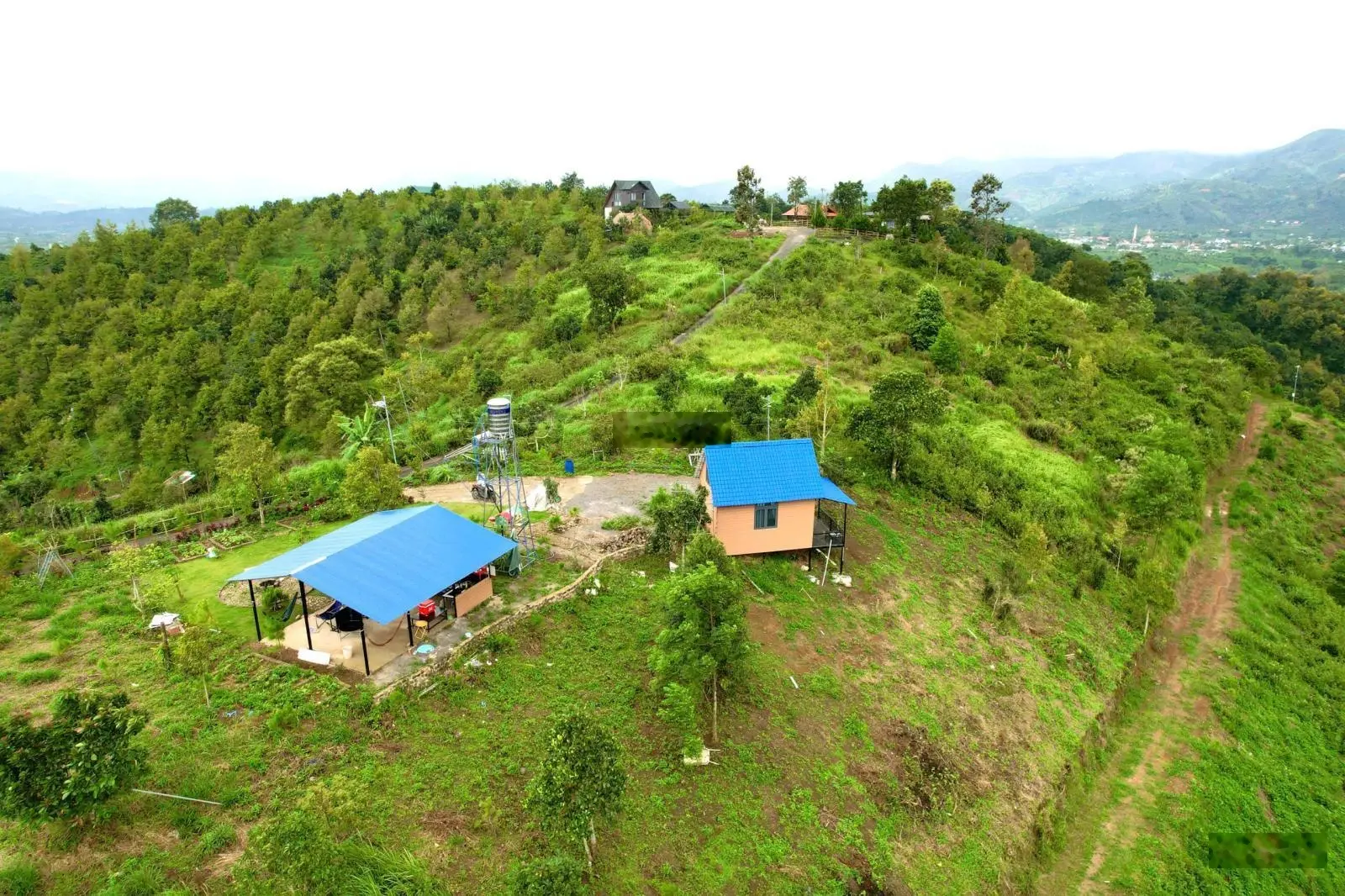 Homestay nghỉ dưỡng view săn mây tận phòng đường nhựa xe 16 chỗ lên tận nơi