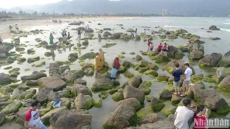 Bán đất kiệt Nam Ô gần Bãi Rêu, Hoà Hiệp Nam