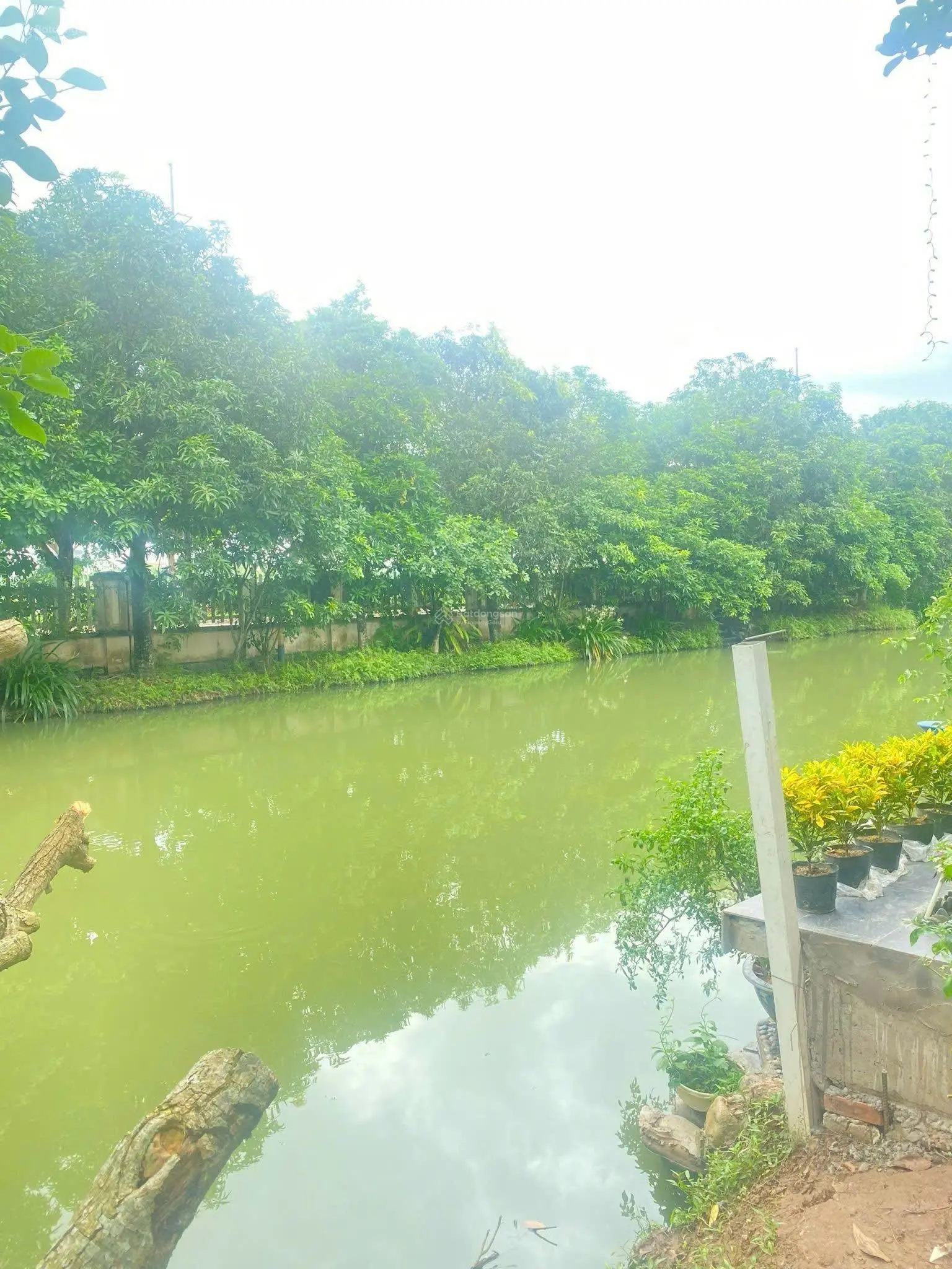 Bán biệt thự song lập Hoa Lan 3 sông 251 m2, Tây Tứ Mệnh Vinhomes Riverside, 0963 892 ***