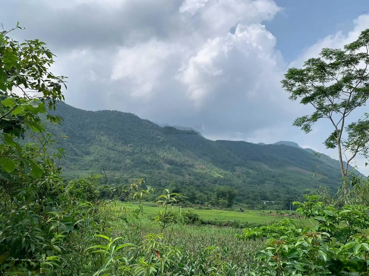 Do khoong sử dụng đến gia đình em cần bán 4300m2 đất thị trấn Đà Bắc với giá rẻ