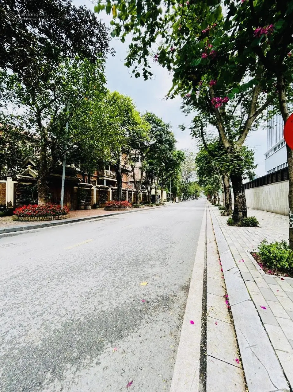 Biệt thự Vườn Đào, Lạc Long Quân, Tây Hồ, không có căn thứ 2, an ninh tốt, sân vườn, chủ thiện chí