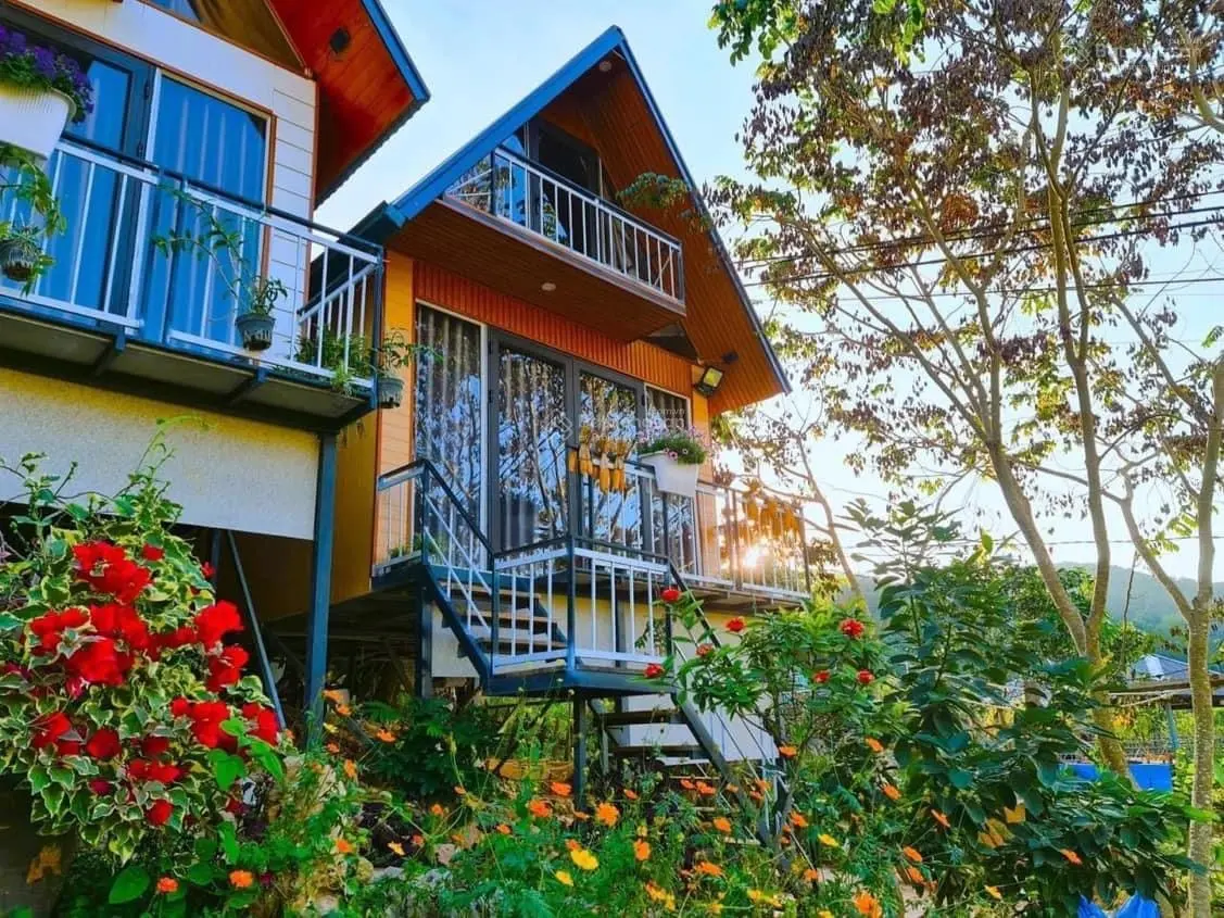 Bán Homestay xinh đẹp có 5 căn bungalow 2 nhà đất kiểu Mông đang kinh doanh hiệu quả