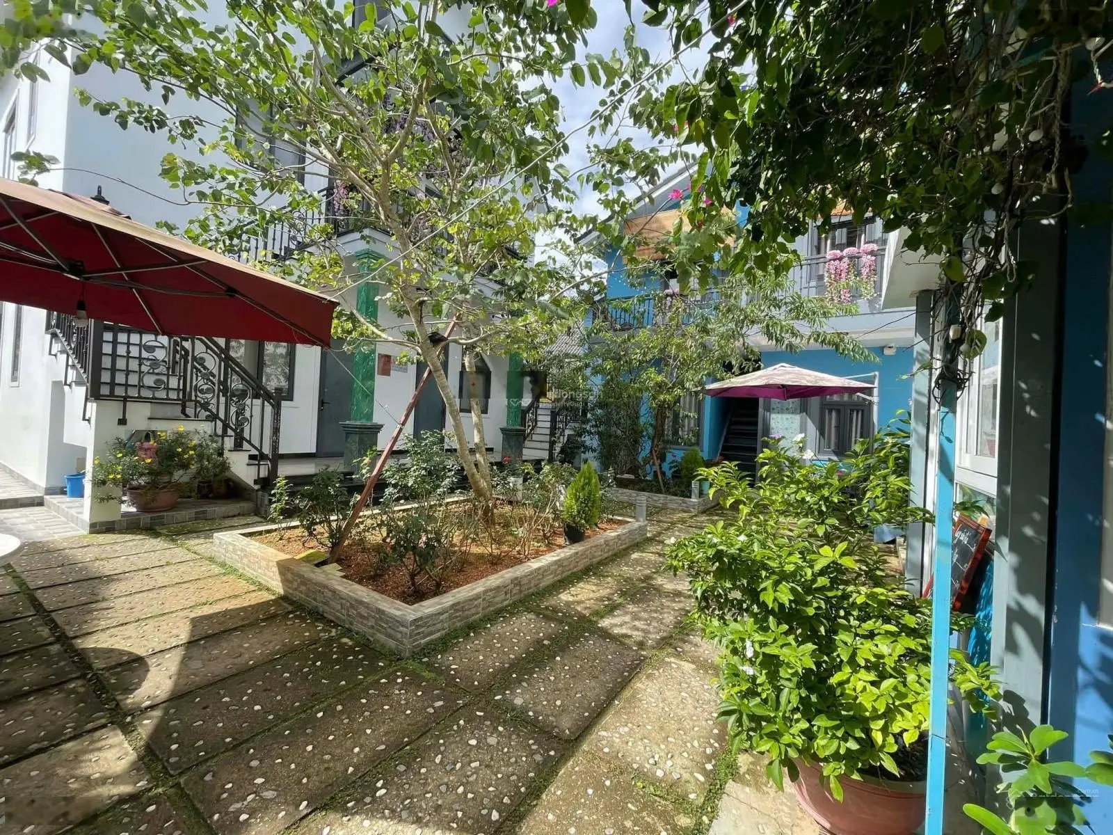 Giảm 5 tỷ - villa 553m2 - Vạn Hạnh, P. 8 - chỉ còn 553m2