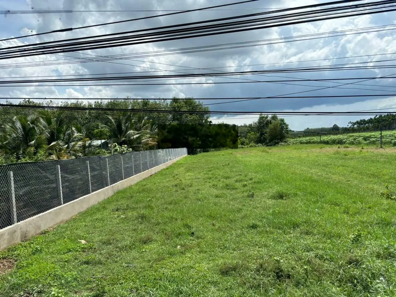 Kẹt tiền 19x70m lúa Gia Lộc Trảng Bàng