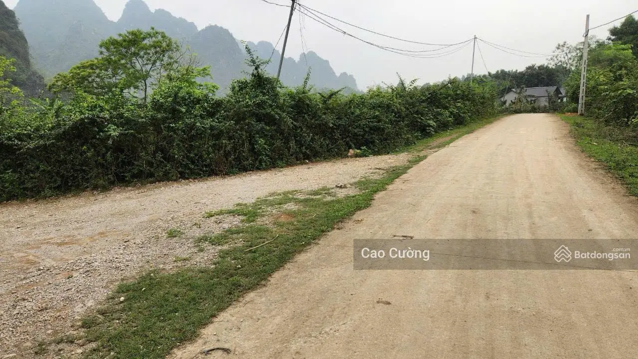 Giá cực sốc, cơ hội đầu tư đất giá rẻ view núi non, bám QH đường VĐ5.