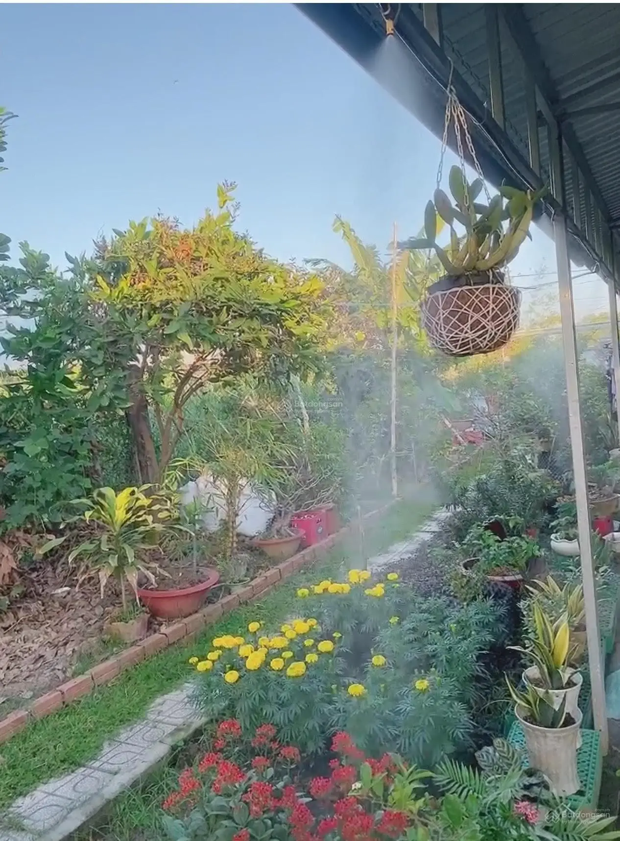 Bán gấp, giá thương lượng thêm chính chủ cần bán nhà + vườn đường 23/8, Phường 8, Bạc Liêu