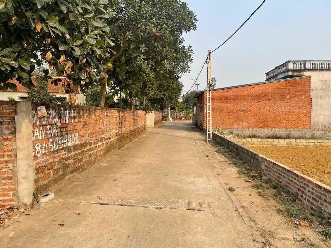 Bán 150,6m2 thôn Miễu cạnh trường đại học Việt Nhật - đại học Quốc Gia Hòa Lạc