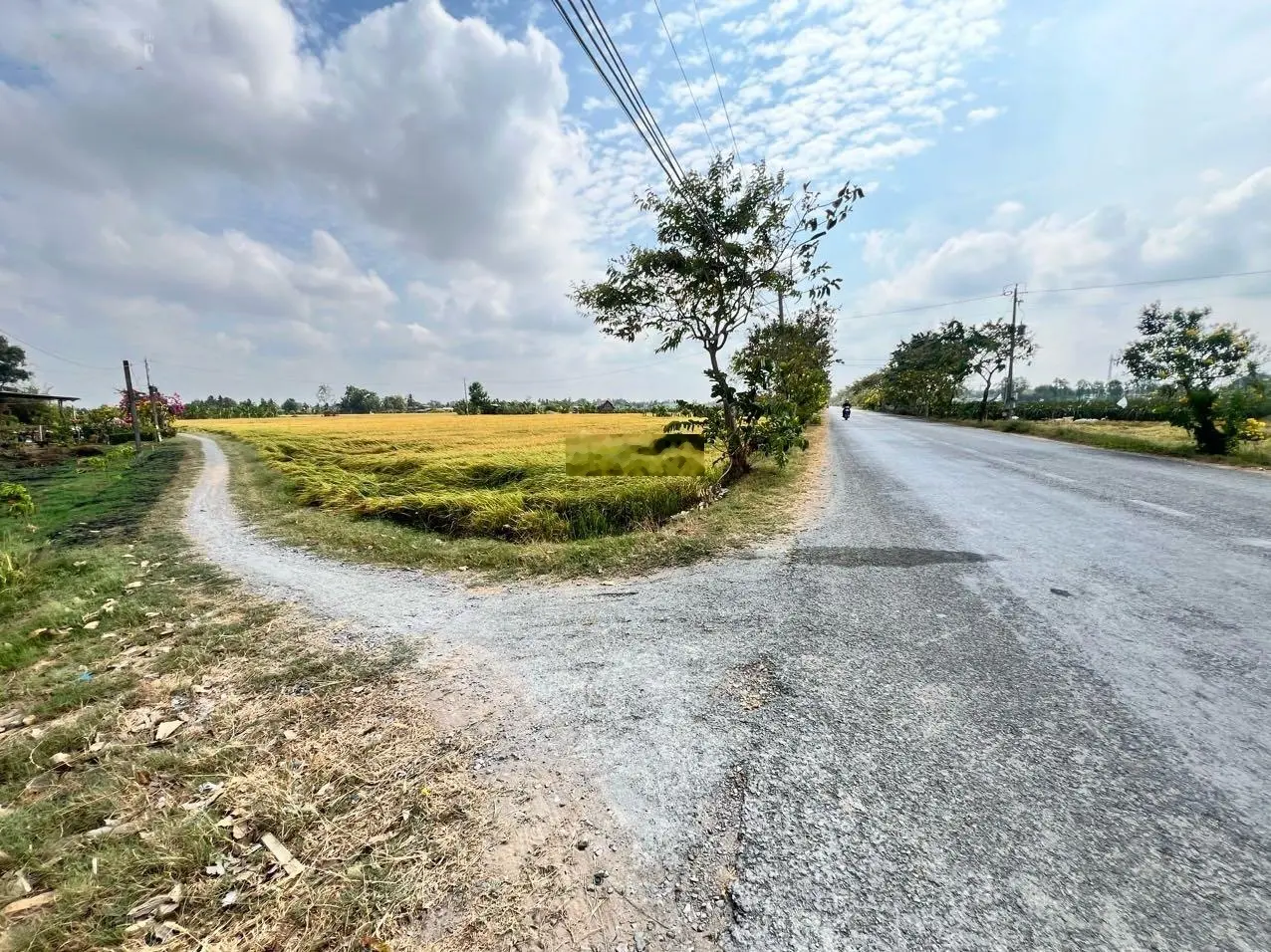 Tôi chính chủ cần bán 1000m2 đất lúa tại thị trấn Tân Trụ