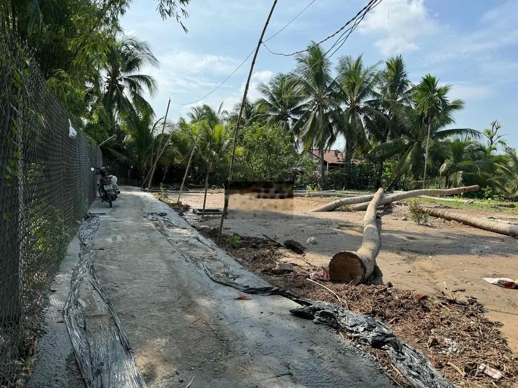 4 nền Mỹ Phong giá chỉ 3xx
