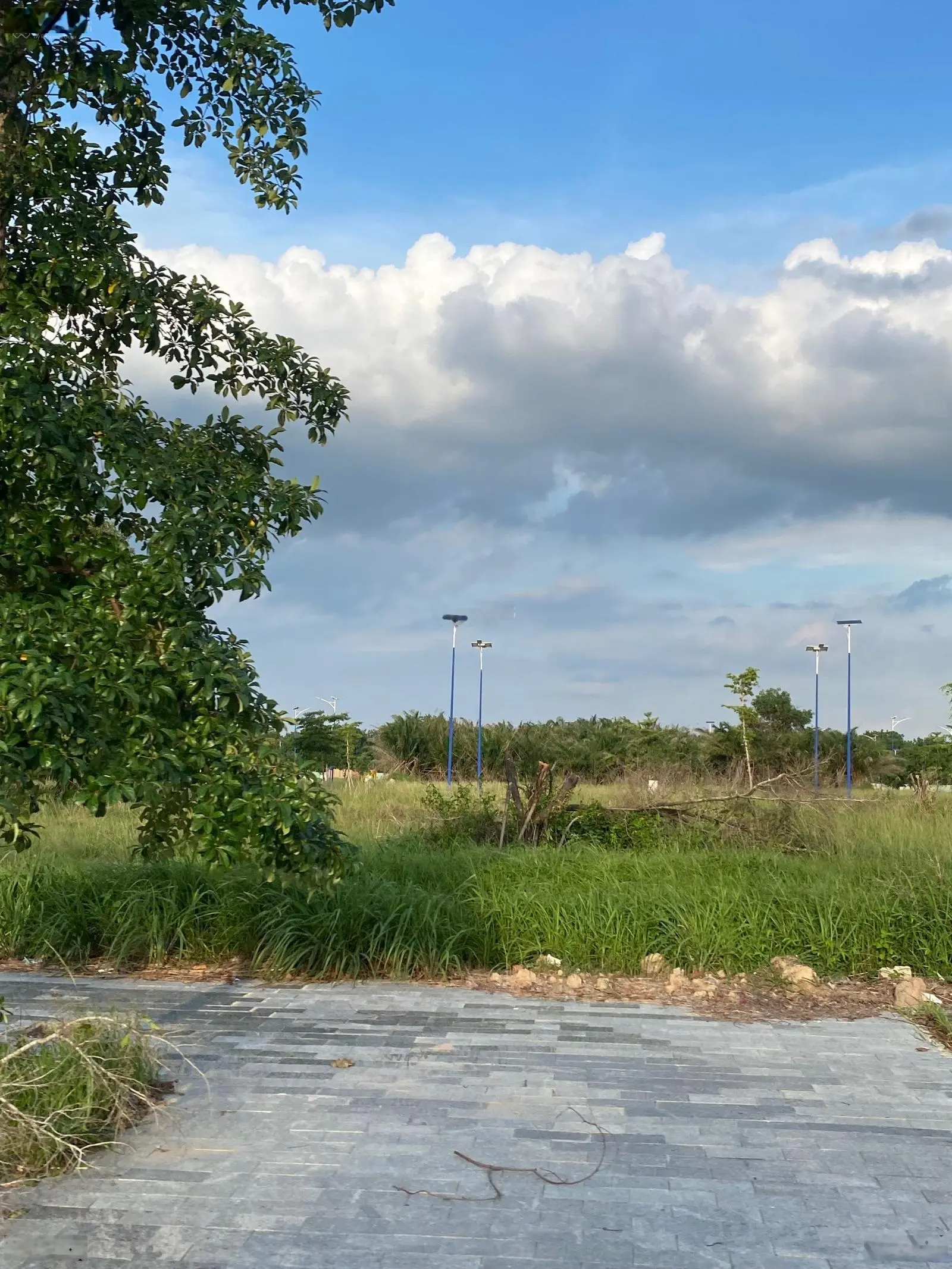 Đất đẹp 700m2 gần KCN Bàu Bàng, tiện ích xung quanh đầy đủ đặc biệt ngay chợ Lai Uyên giá nhỉnh 1tỷ