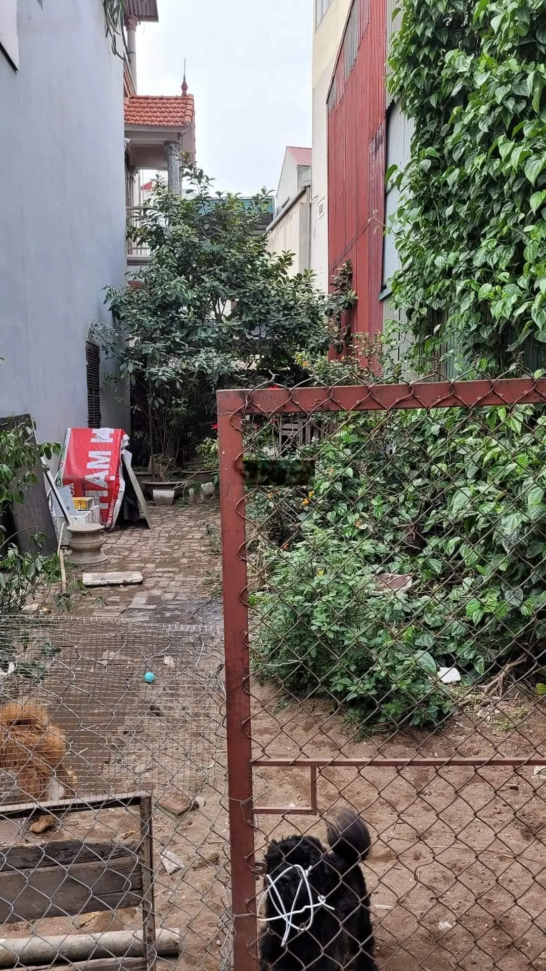 Bán đất Đông Trạch Ngũ Hiệp, 58m2, mặt tiền 4.1m, sổ vuông, giá chỉ 2.6 tỷ