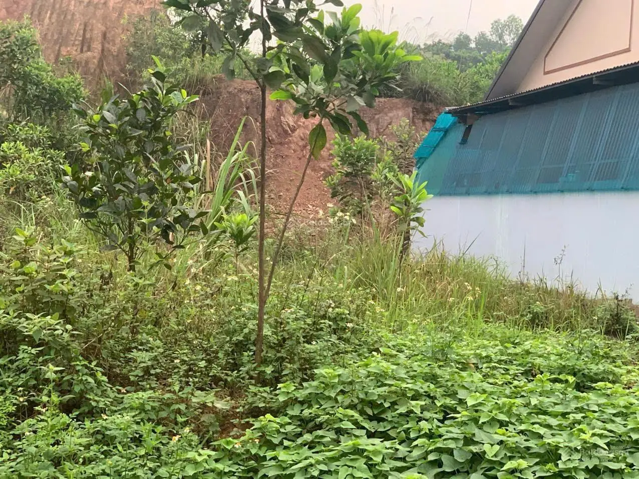 ĐẤT ĐẸP GIÁ TỐT - CHÍNH CHỦ Cần Bán Lô Đất Vị Trí Đẹp Tại Phường Tân Lập, TP Thái Nguyên