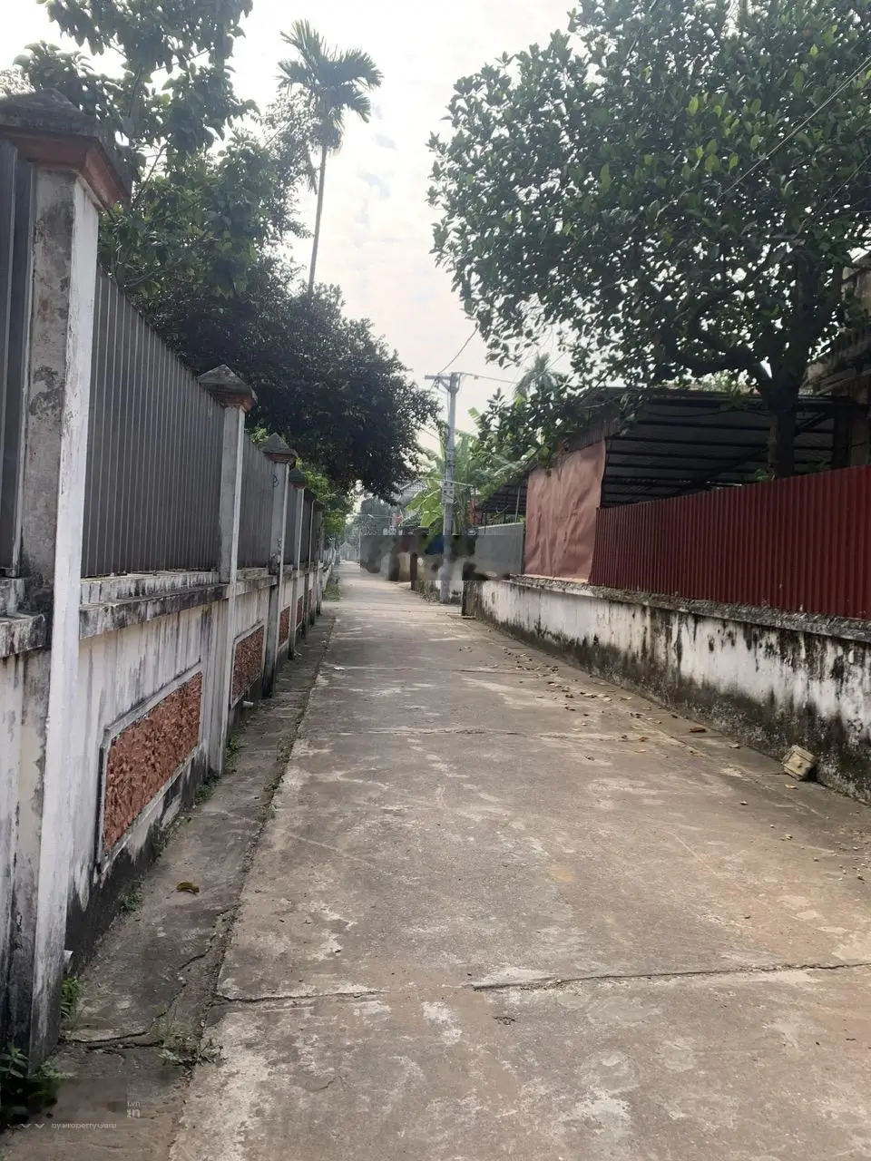 Bán 104,5 m2 đất trục thông ô tô tránh, Trung Châu A, Đan Phượng, tài chính nhỉnh 3 tỷ