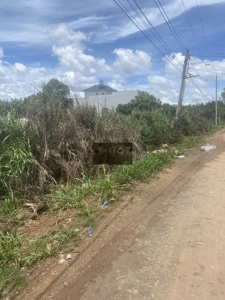 21m Mặt Tiền bê tông làng chùa Xã Ninh Gia