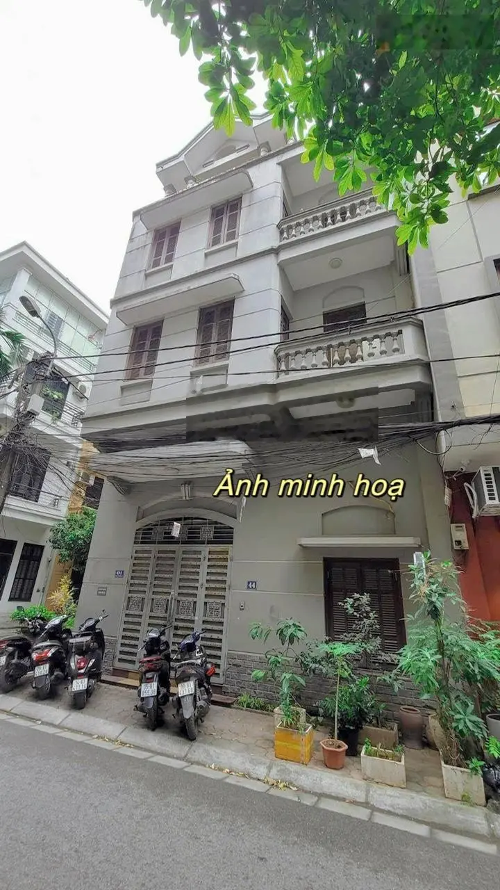 Bán nhà phân lô Hoàng Cầu 110m2 - mặt tiền 11m khu quan chức cao cấp, chào giá chưa tới 40tỷ