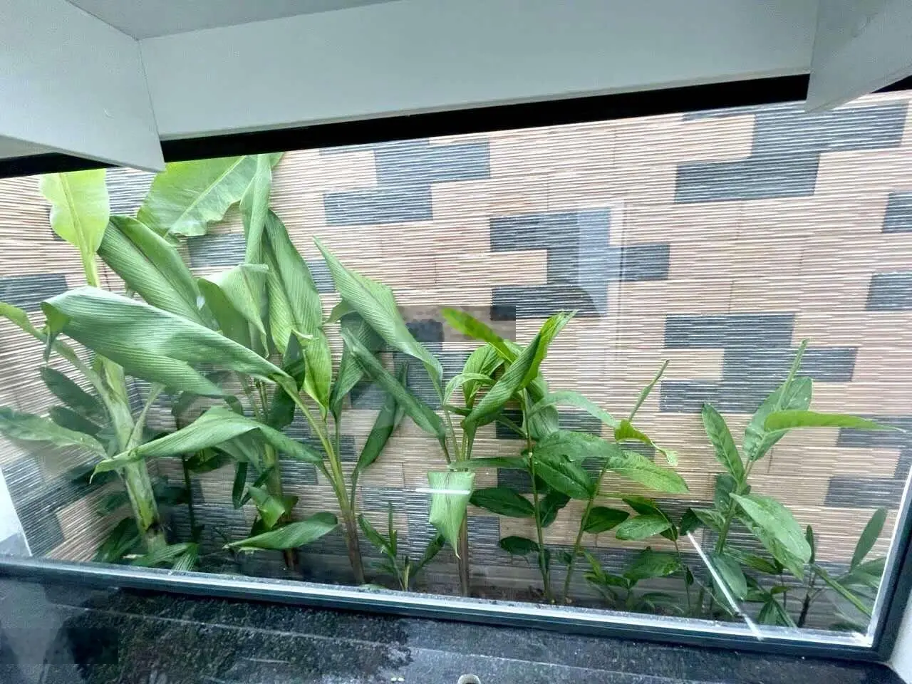 Bán nhà cấp 4 mới đẹp hẻm xe tải ngang hơn 6m - 80m2 nguyễn thị pha Đông Thạnh Hóc Môn chỉ 3.15 tỷ