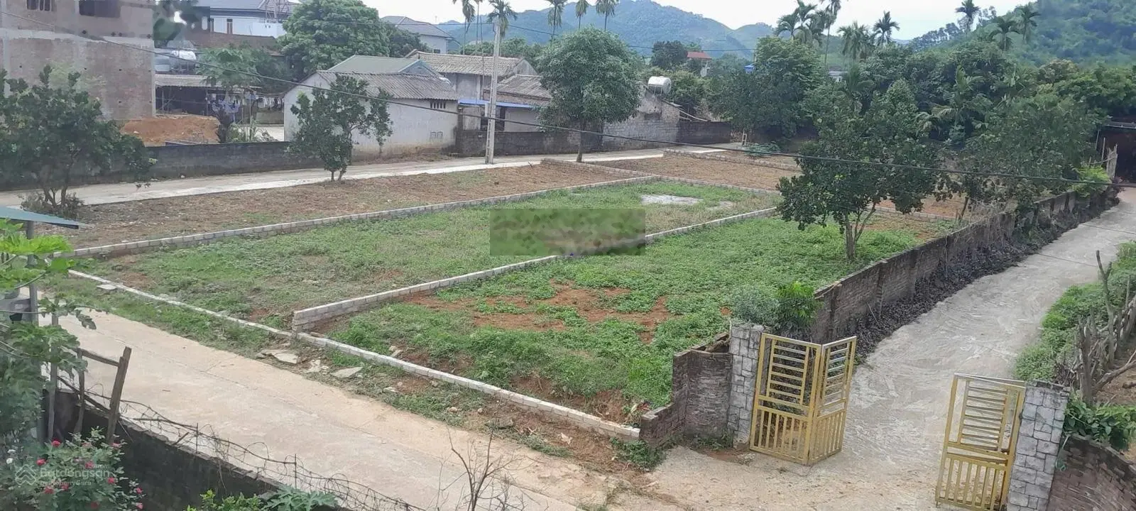 Hiện tại còn 5 lô diện tích 170m2 đến 200m2. Tài chính từ 1,5 tỷ đến 2 tỷ. Giá tốt trong tuần