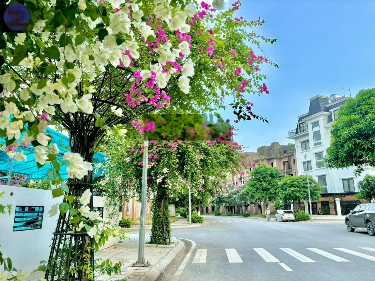 Biệt thự song lập giá rẻ nhất KDDT Lideco