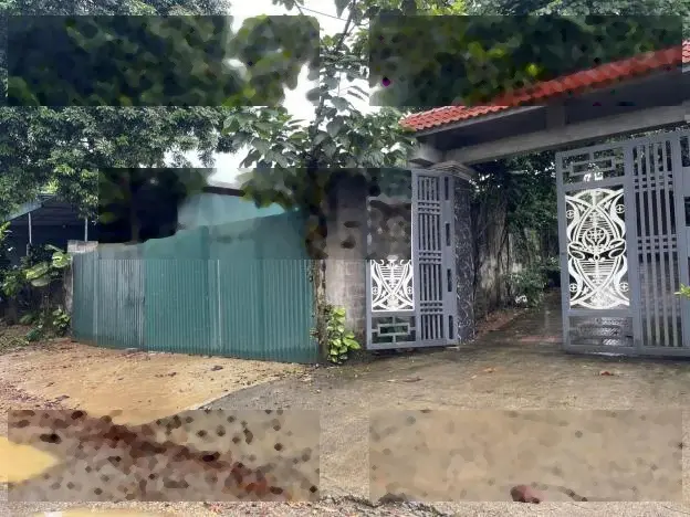 Bán Đất Đường Tỉnh 446, Mông Hoá, Kỳ Sơn….
