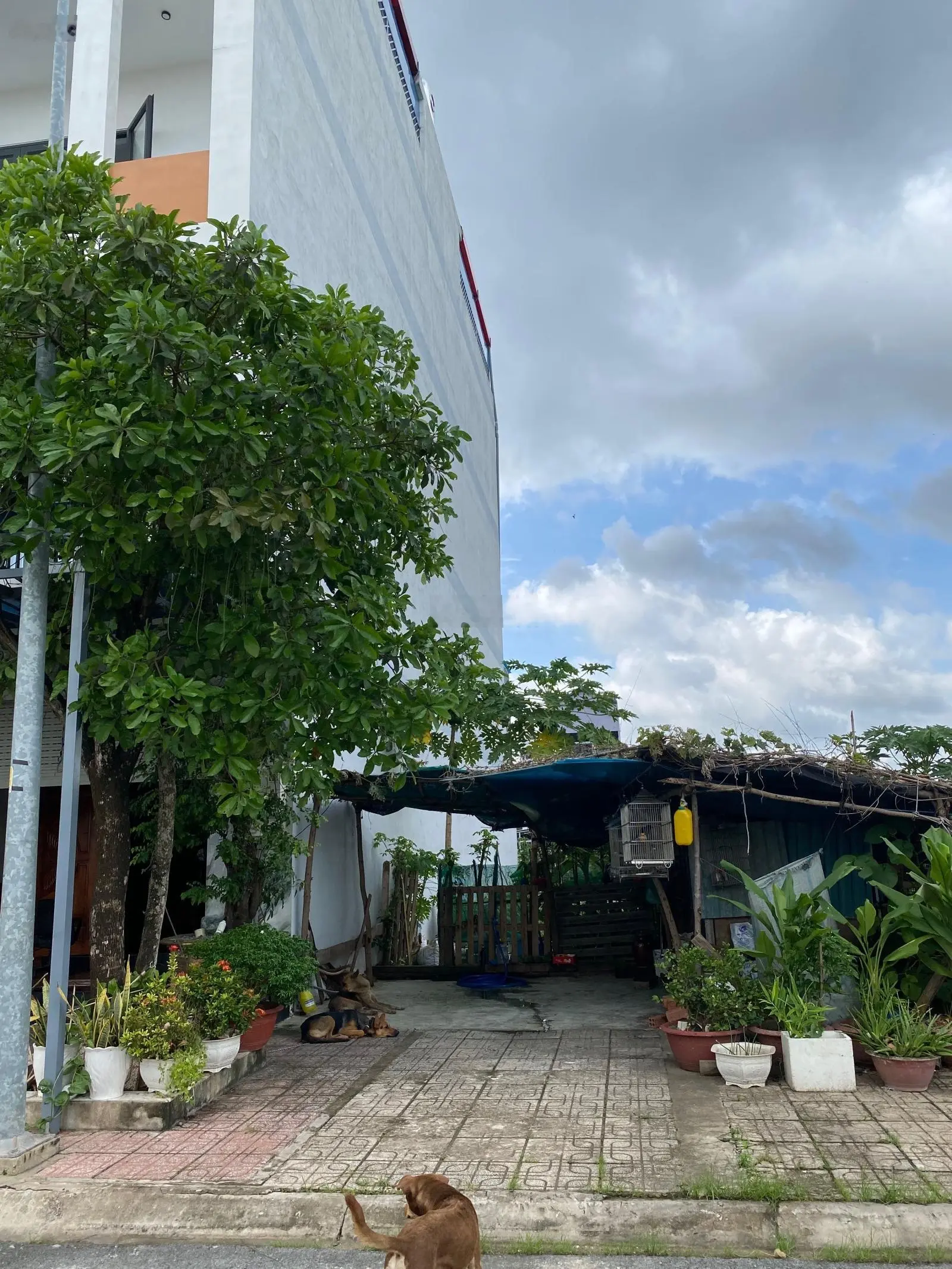 Ngộp, chủ bán gấp lô 92.5m2 đường N9 hướng Nam, trong KDC An Thuận gần ngã ba Nhơn Trạch 0868 292 ***