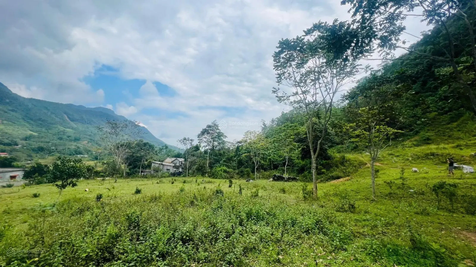 Bán 4300m có 350m ODT view cánh đồng tại trung tâm thị trấn Đà Bắc Hòa Bình giá nhỉnh 2tỷ