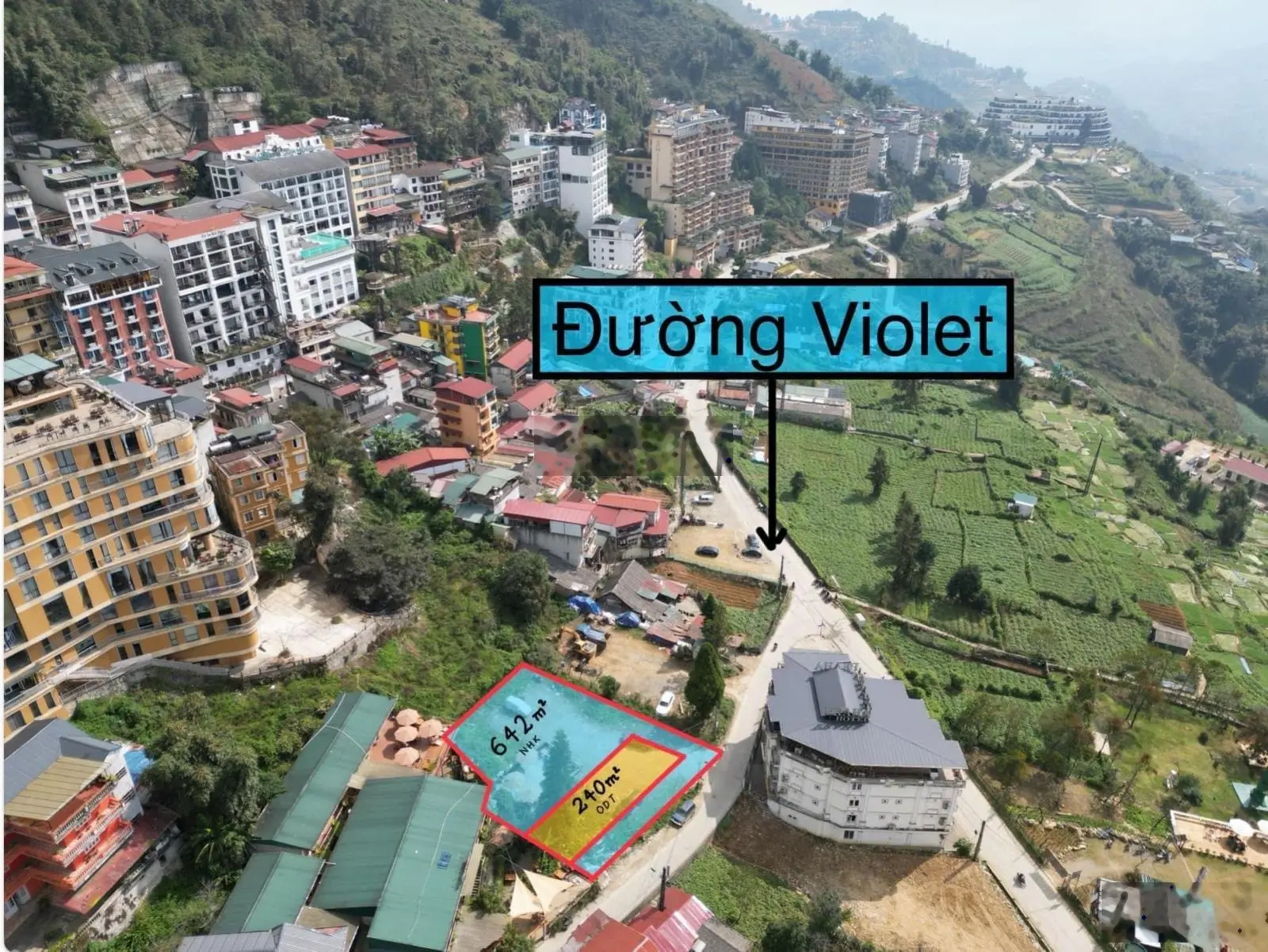 Cần bán đất giá 29 tỷ VND tại Đường Violet, Sa Pa, Lào Cai với diện tích lớn
