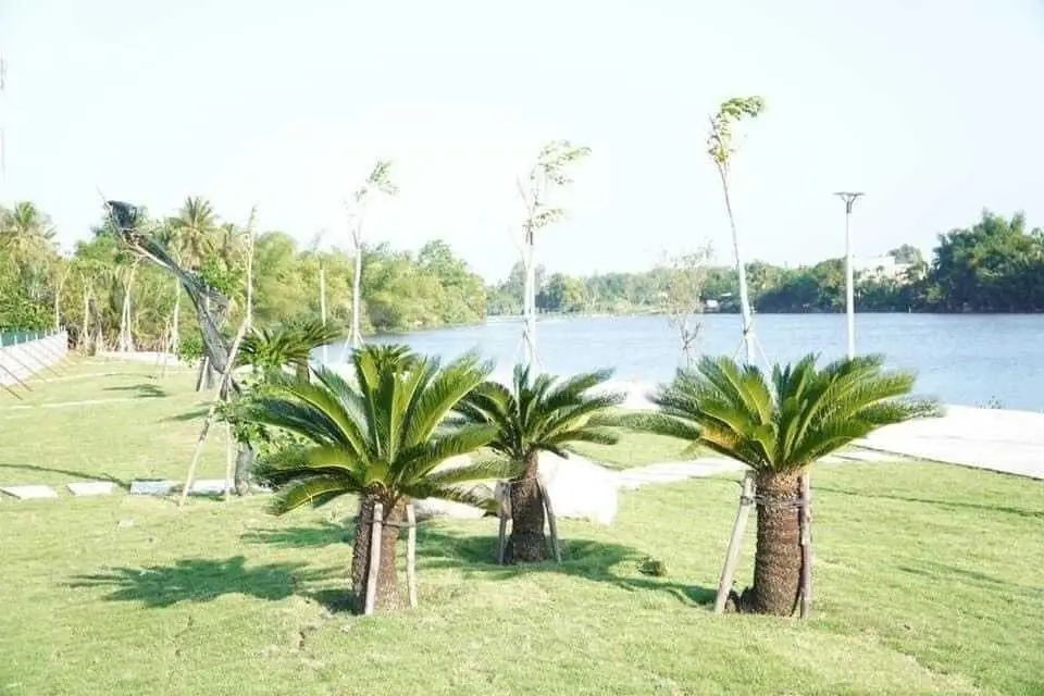 Bán biệt thự mặt tiền Sông Phước Giang KDC An Lộc Phát, 205m2(10x20.5) hướng Nam, Sổ Hồng Riêng