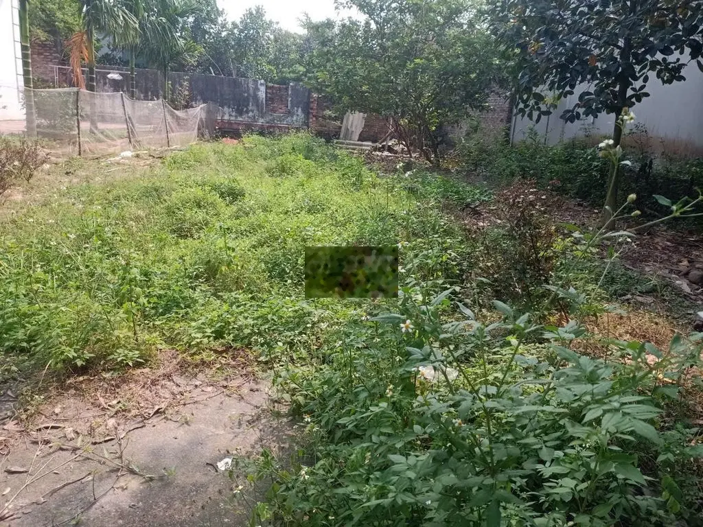 Bán 250m đất thôn Mỹ Lộc, Thanh Lâm, Mê Linh, HN. Lô góc. Giá 7 tỷ.