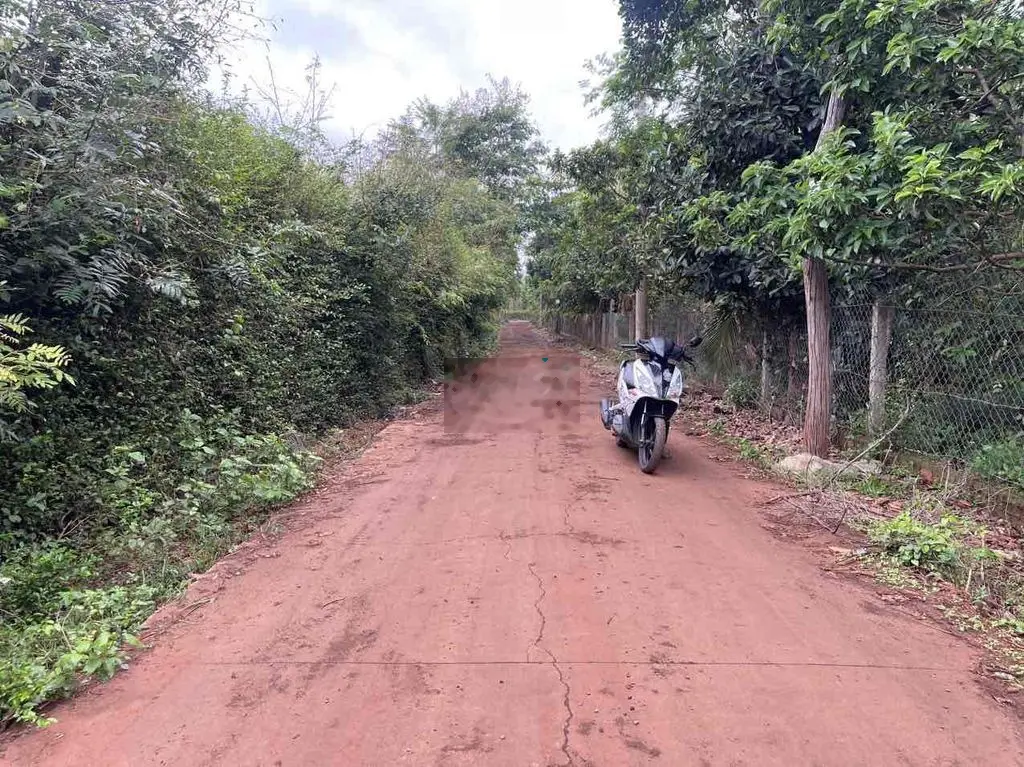 ĐẤT CƯ SUÊ NGÃ 3 CÂY PHƯỢNG ĐI VÀO 2,5KM