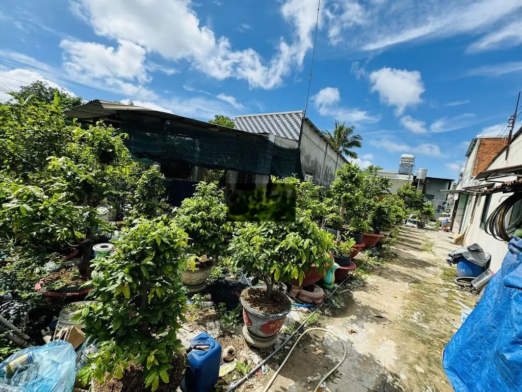 Đất đẹp trung tâm thị xã Trảng Bàng nở hậu