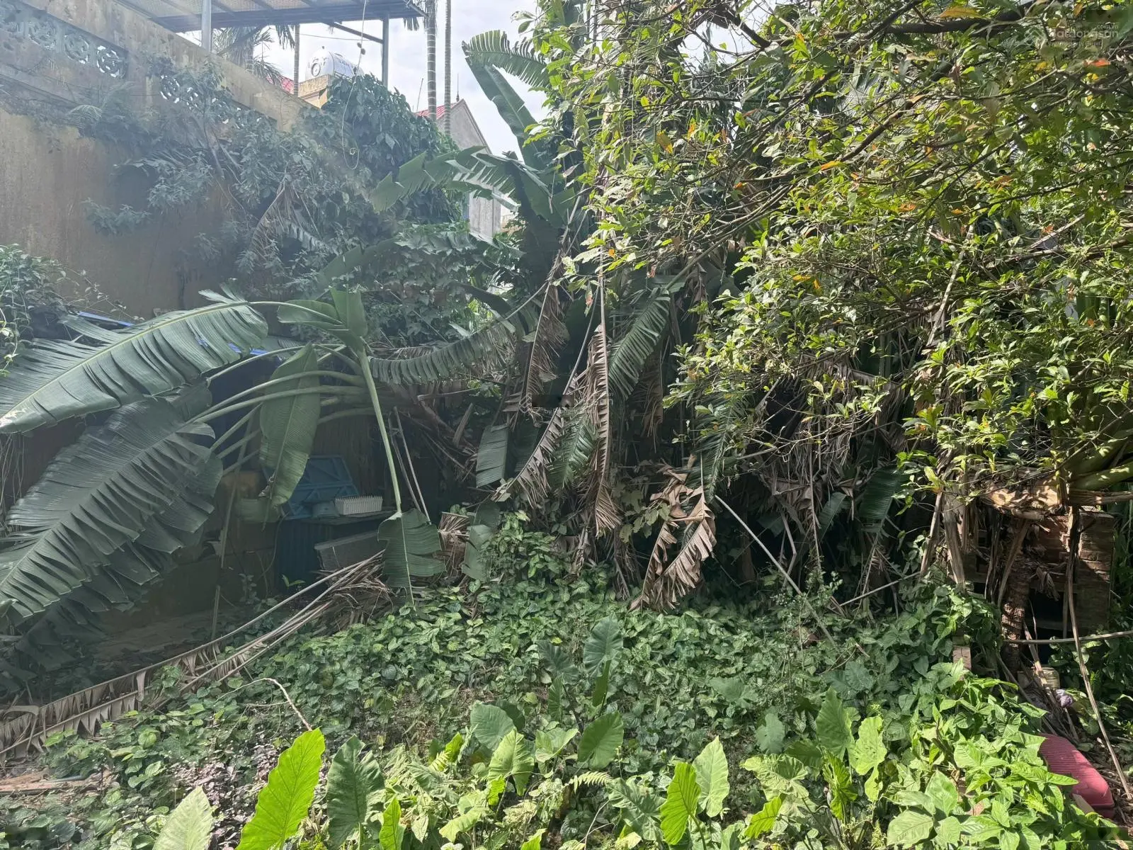 Hiếm, Long Biên, đất view sông, diện tích 637m2, 100% đất ở