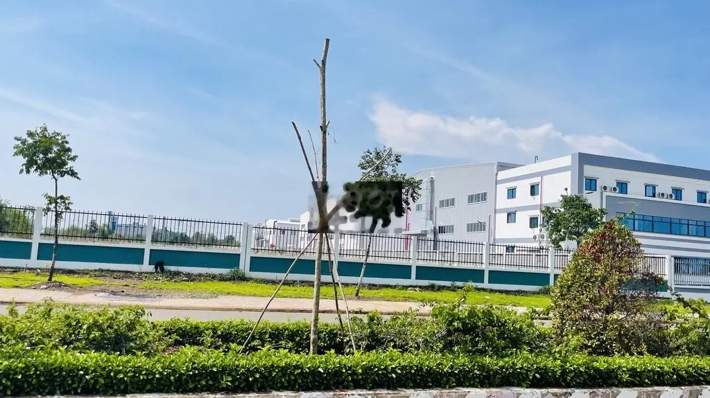 BÁN ĐẤT THỊ TRẤN ĐẤT ĐỎ BÀ RỊA VŨNG TÀU 242m