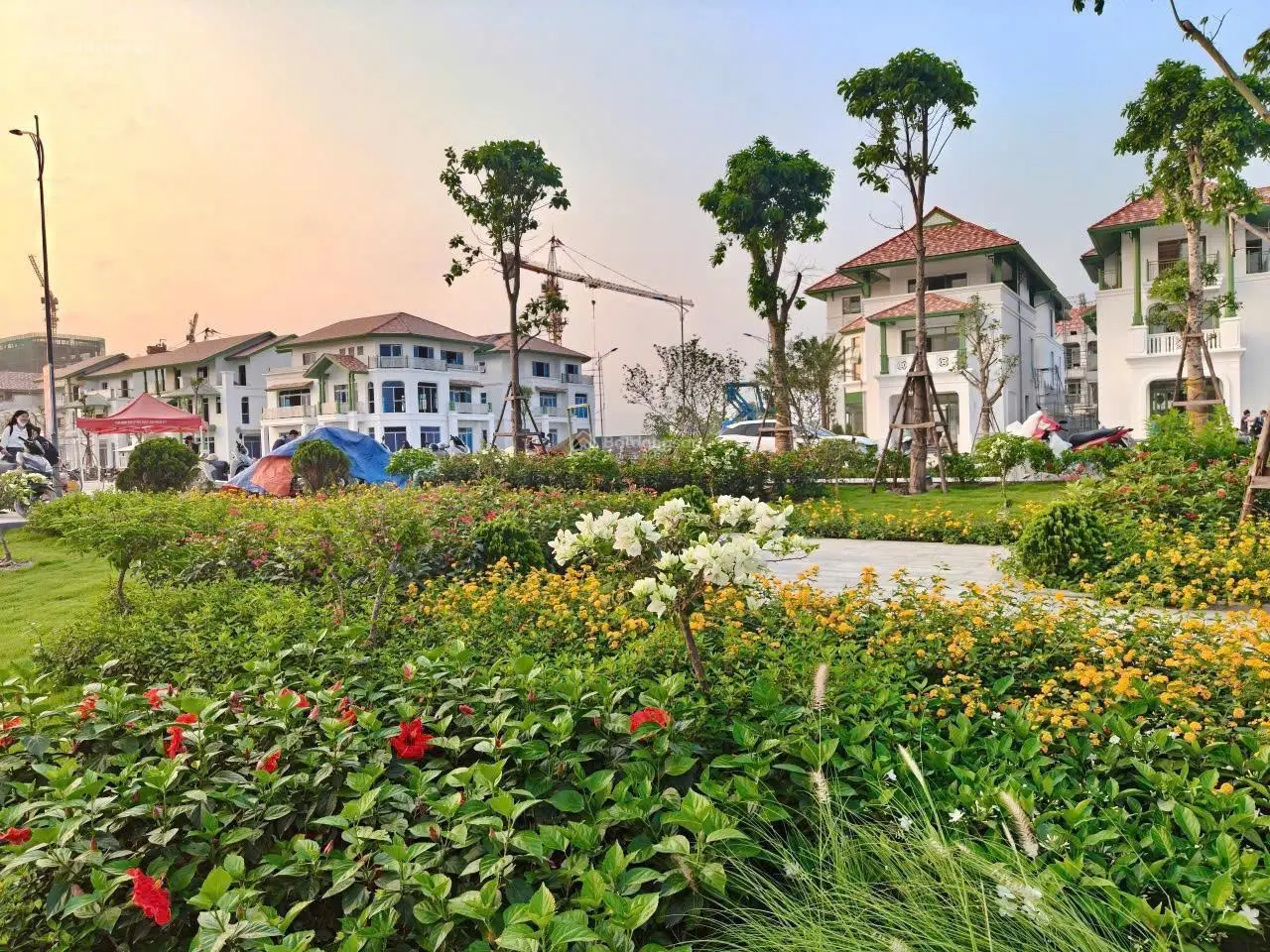 Căn độc quyền View Công viên 5.000m2 - Gần 8 tòa chung cư đã lấp đầy - Giá cắt lỗ 0968788299