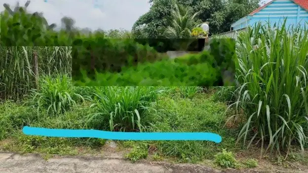 Đất Củ Chi, lô đất 1 sẹc ngắn đường Đỗ Đăng Tuyển, diện tích 118m, full thổ cư, xã An Nhơn Tây