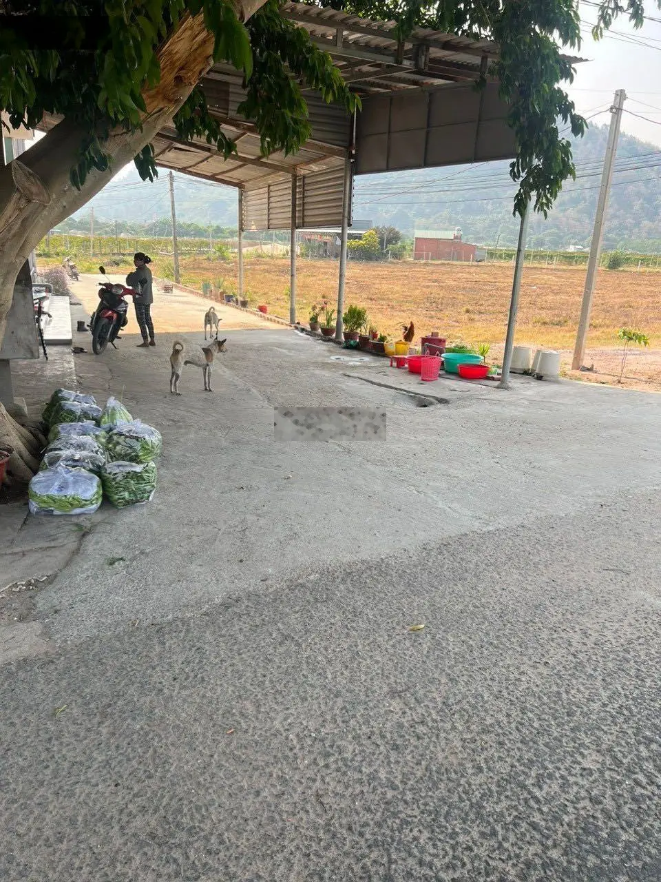 Cần bán gấp 540m2 đất ở, trung tâm thành phố Tây Ninh giá 595 triệu, dưới chân núi Bà, sổ sẵn